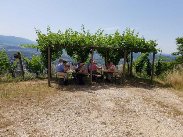 E. E. Zunft zu Gerbern - Bilder vom Besuch «unseres» Weinbergs