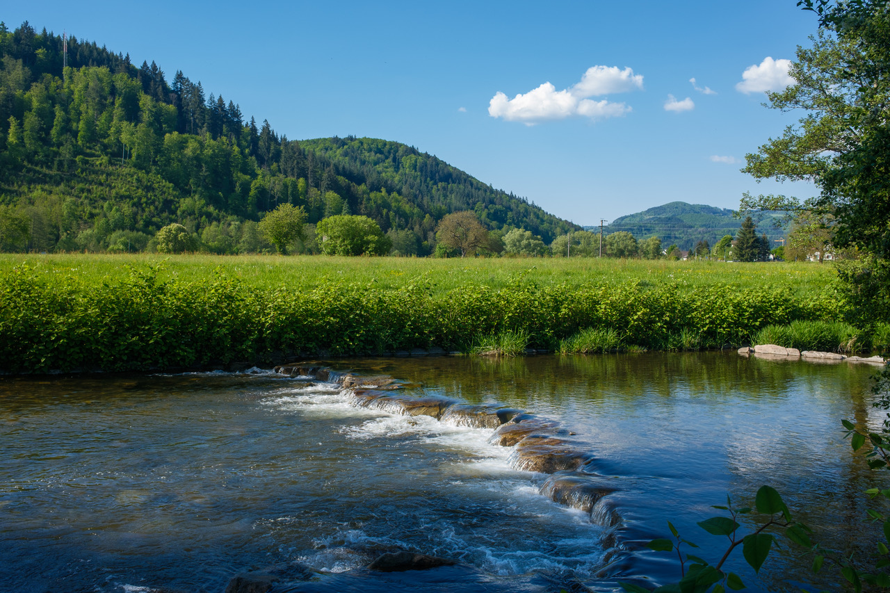 E. E. Zunft zu Gerbern - Seniorenprogramm: Traditionsausflug nach Schopfheim