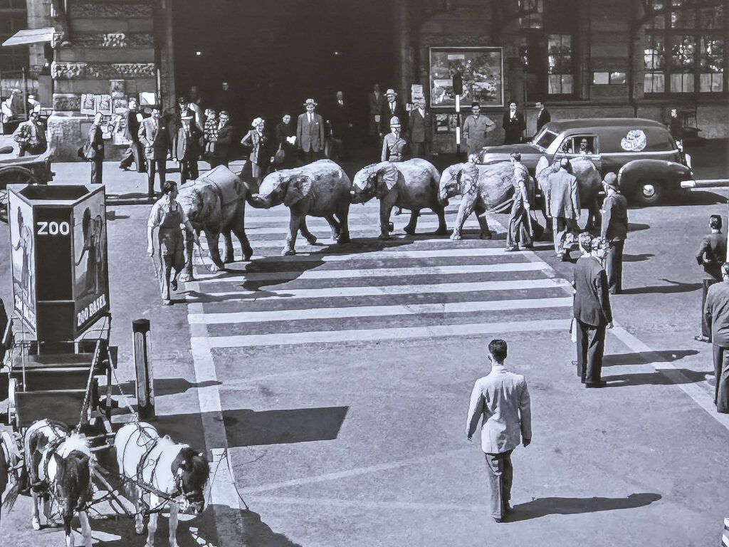 E. E. Zunft zu Gerbern - %title