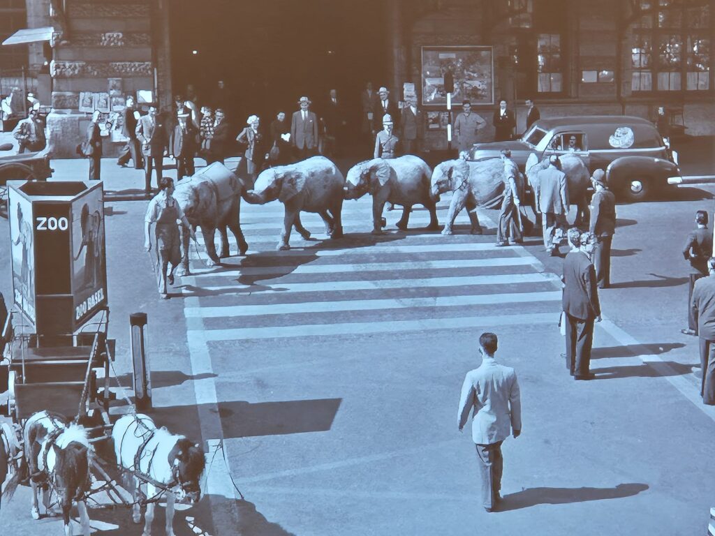 E. E. Zunft zu Gerbern - %title